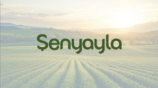 Şenyayla 4'lü Paket ve Organik Coğrafi İşaretli Memecik Zeytinyağı